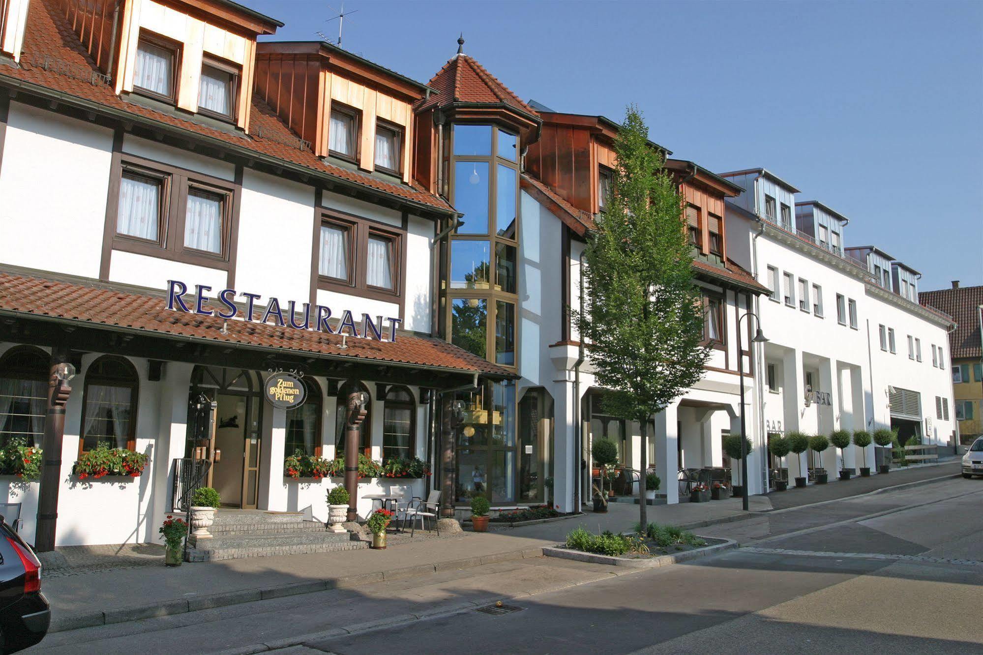 Hotel & Restaurant Goldener Pflug Ludwigsbourg Extérieur photo